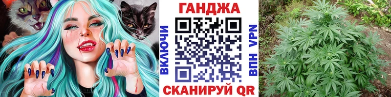 закладка  Удачный  Марихуана сатива 